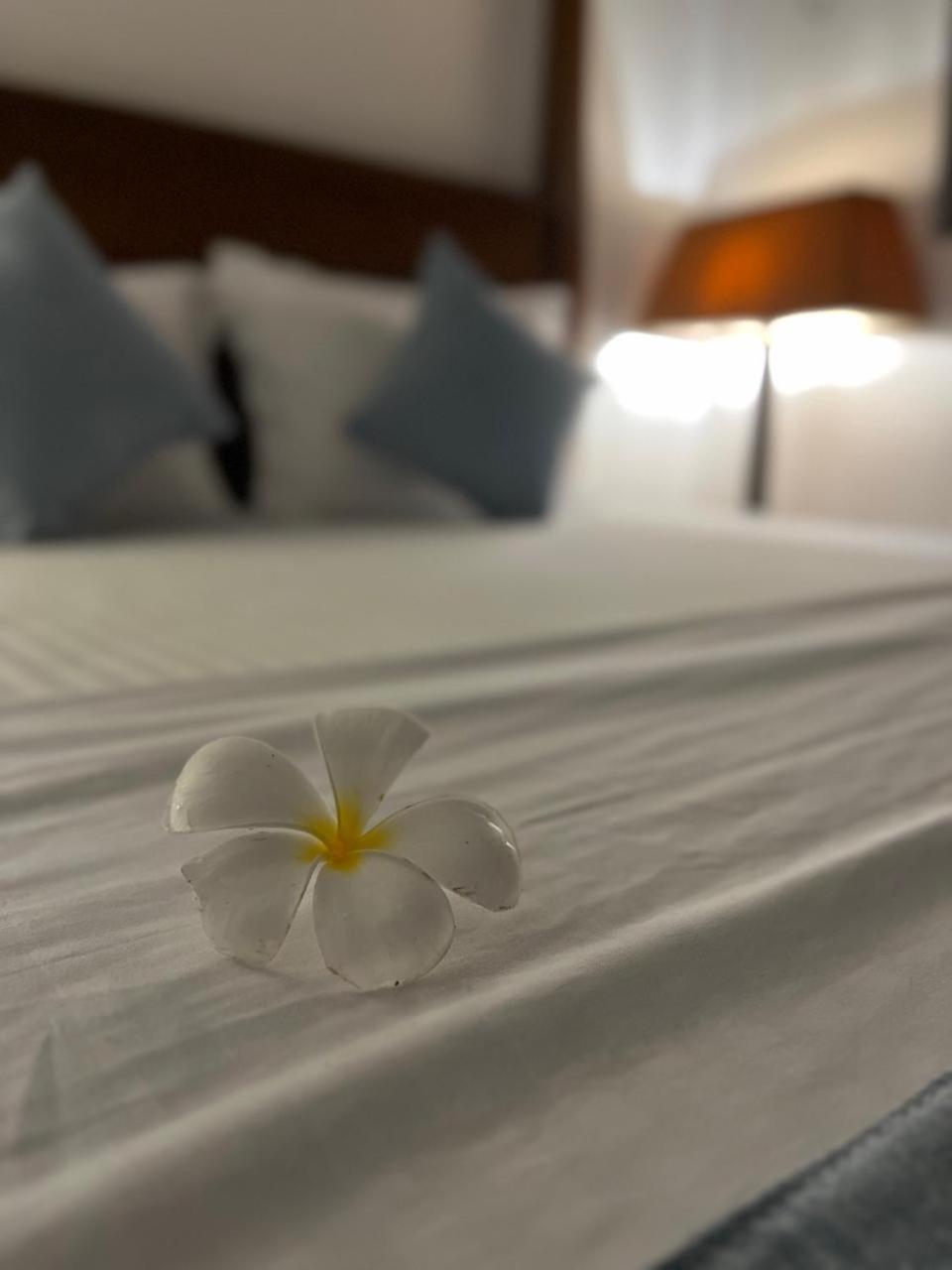 Beach Club Apartments Induruwa Εξωτερικό φωτογραφία